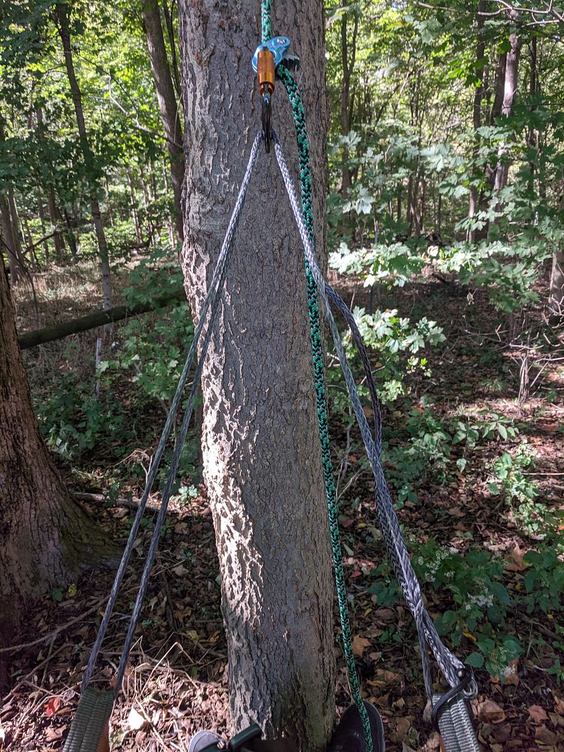 Fixed Bridge vs Adjustable Bridge